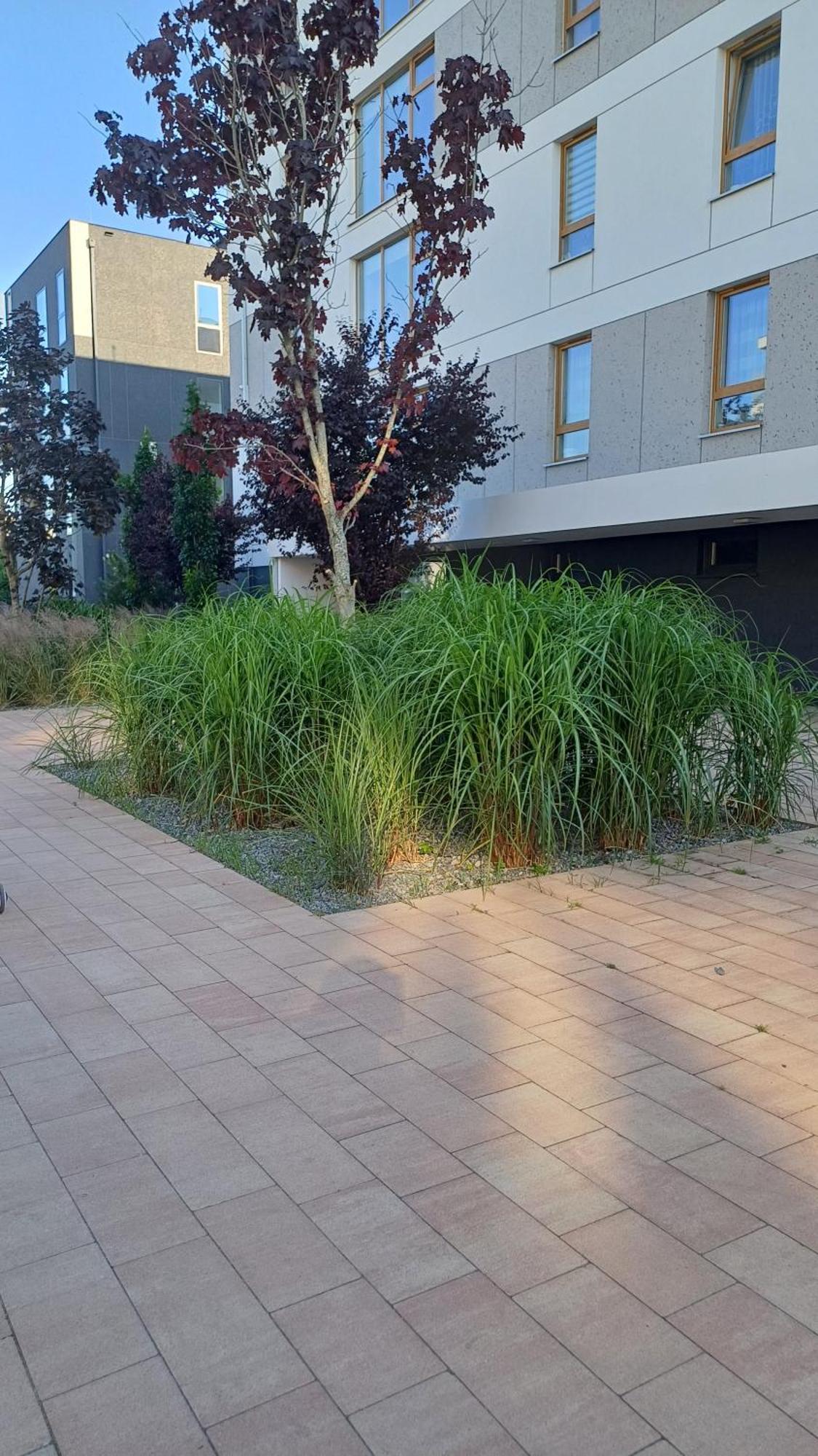 Apartament Davima Aquapark Rumia - Novum Extérieur photo